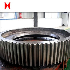 CNC Machining Forged Steel 1.0 Module Steel Spur Gear